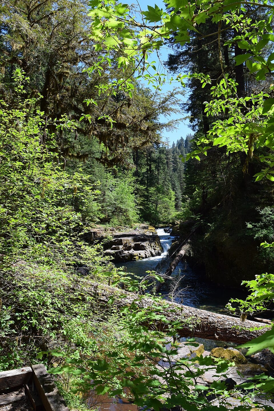 Brice Creek
