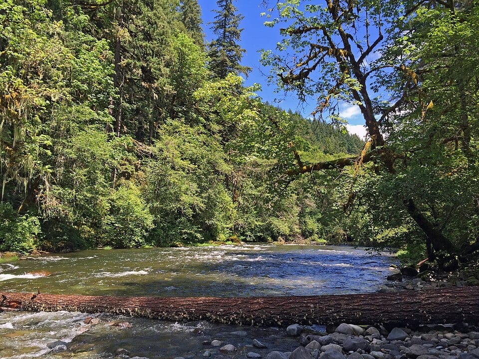 Canyon Creek Recreation Site