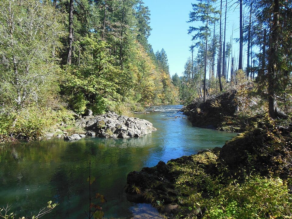Dolly Varden Swimming Hole