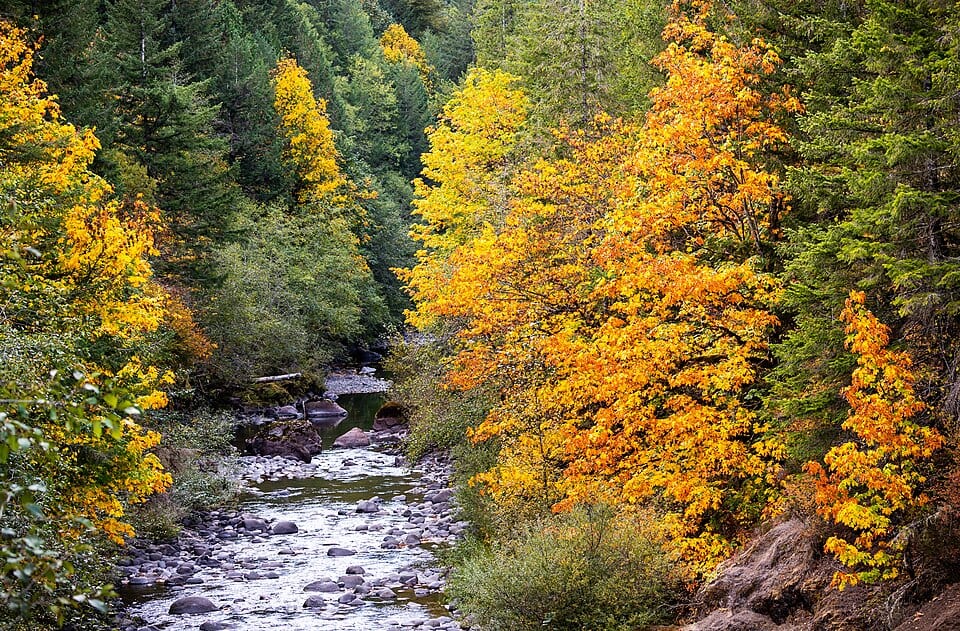 Feyrer Park (Molalla River)
