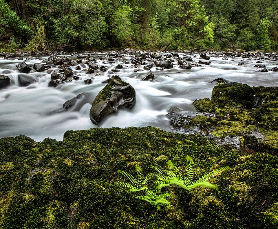 Little North Fork Swimming Spot