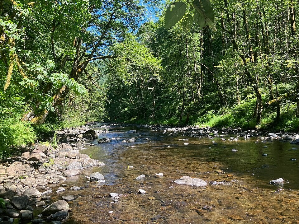 Mills Bridge (Wilson River)