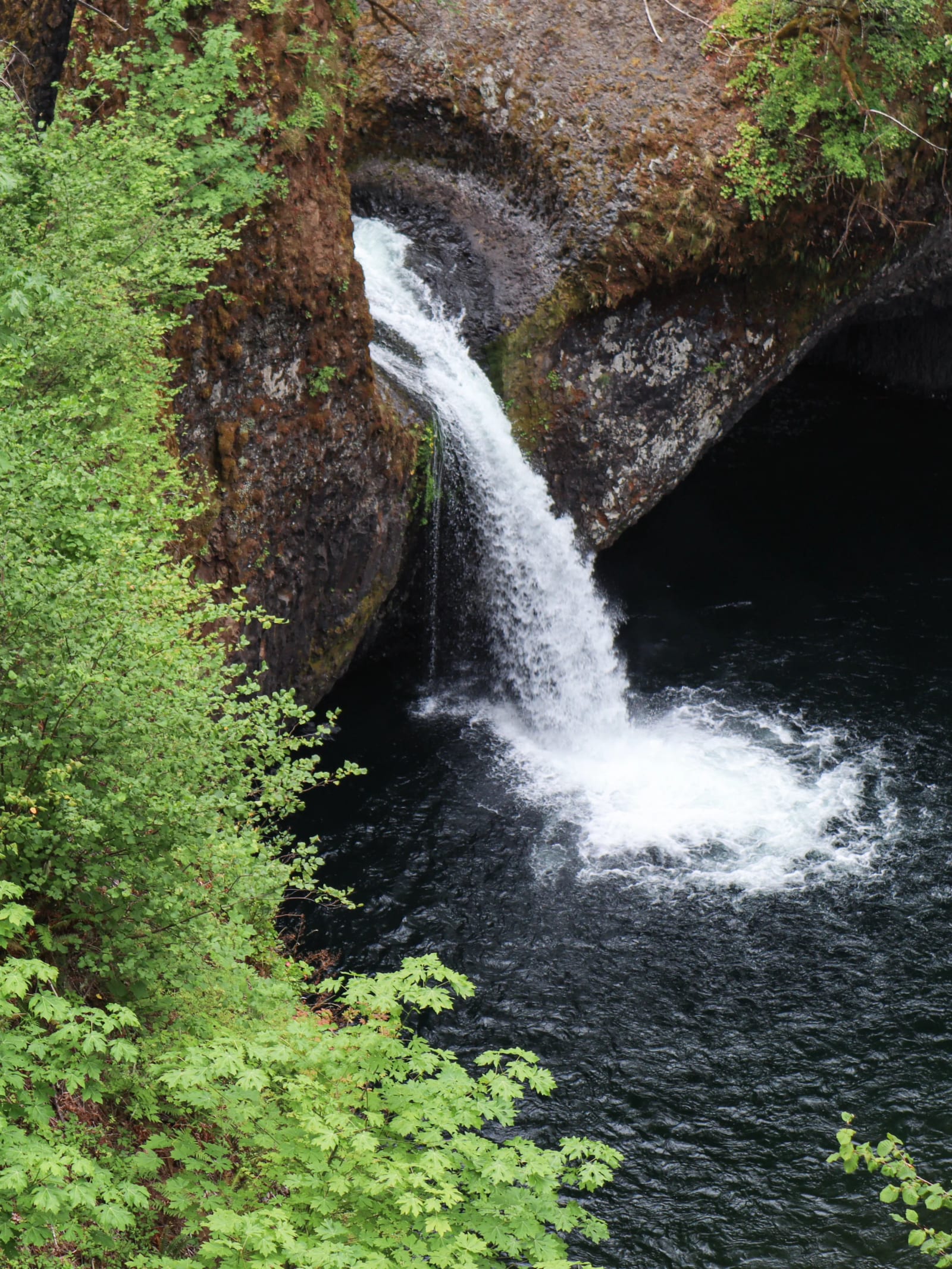 Punch Bowl Falls (Dee)