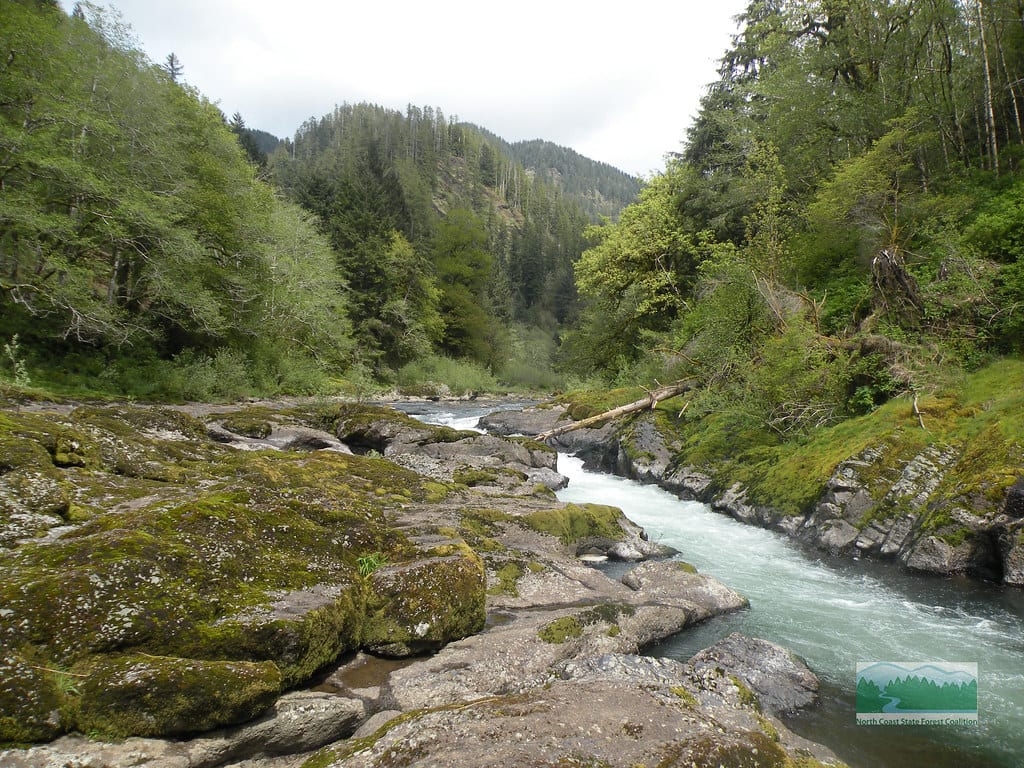 Trask River Rock Jumping Area