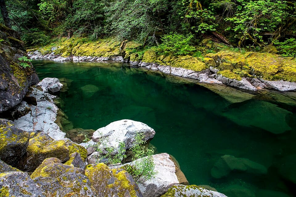 Yellowbottom Recreation Site