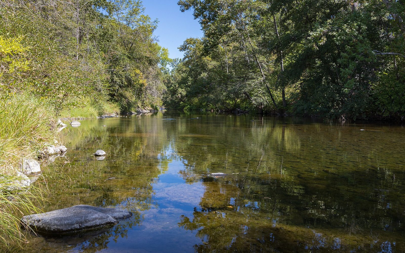 Bear Hole (Upper Bidwell Park)