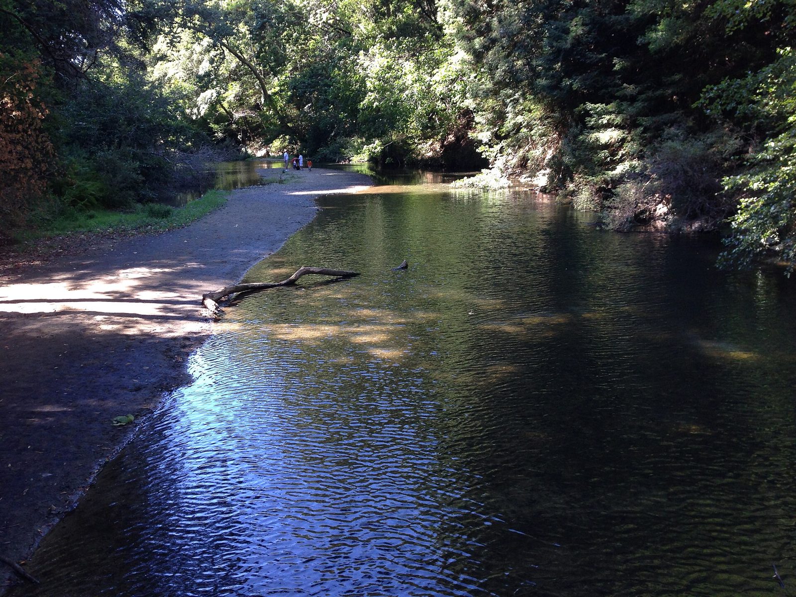 Big Rock Hole (San Lorenzo River)