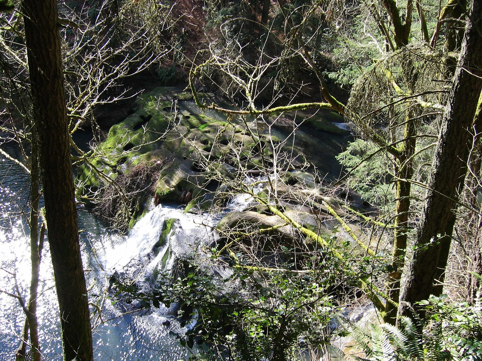 Camas Potholes (Lacamas Creek)