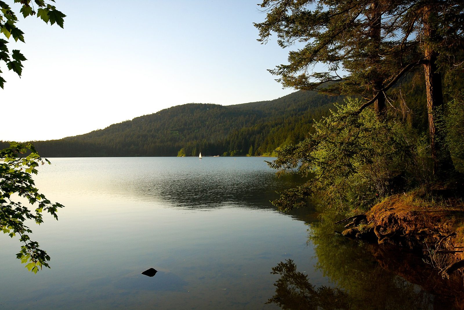 Cascade Lake bridge (Moran State Park)
