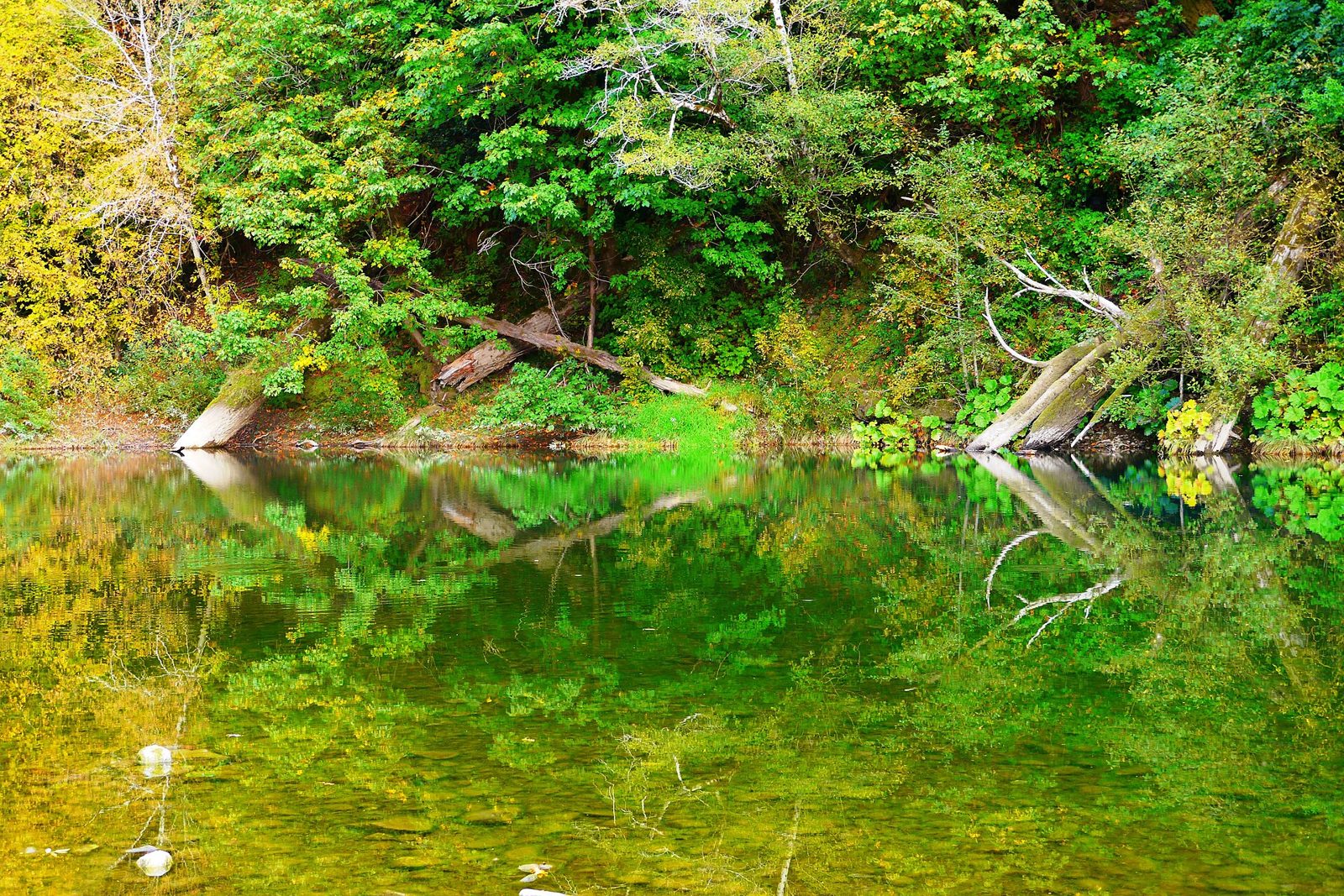 Elephant Rock (Chetco River)