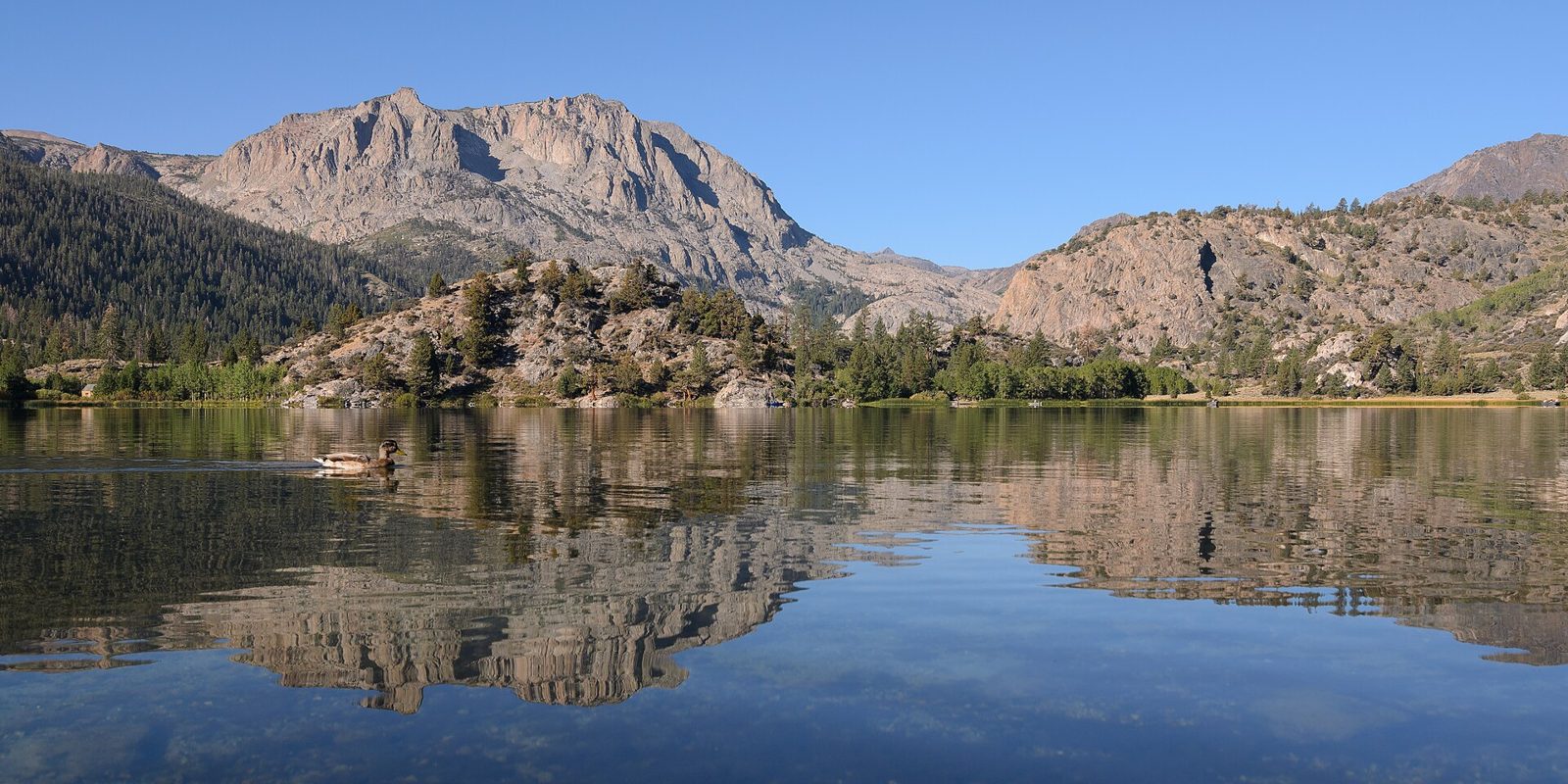 Gull Lake rope swings (June Lake)