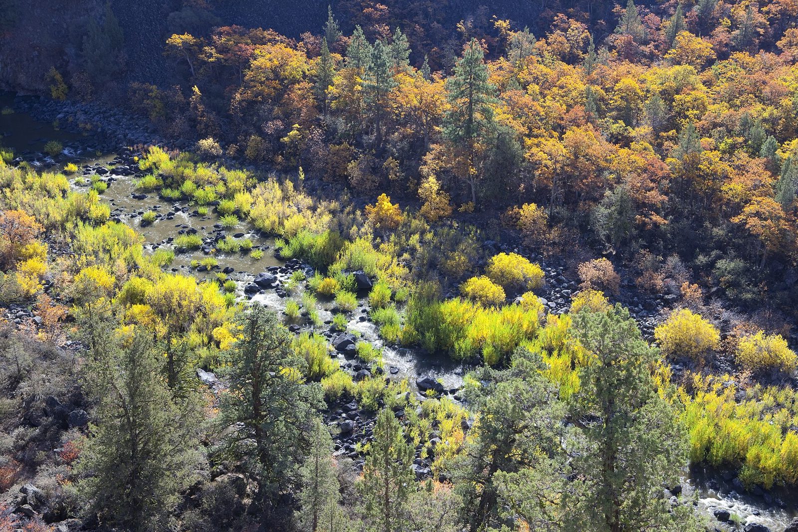 Hatchet Creek Falls (Lion Slide Falls)