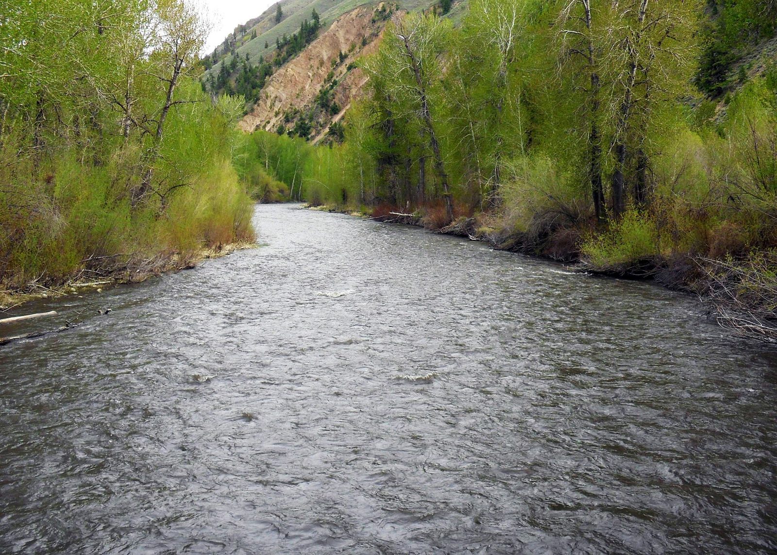 Hospital Bridge (Big Wood River)
