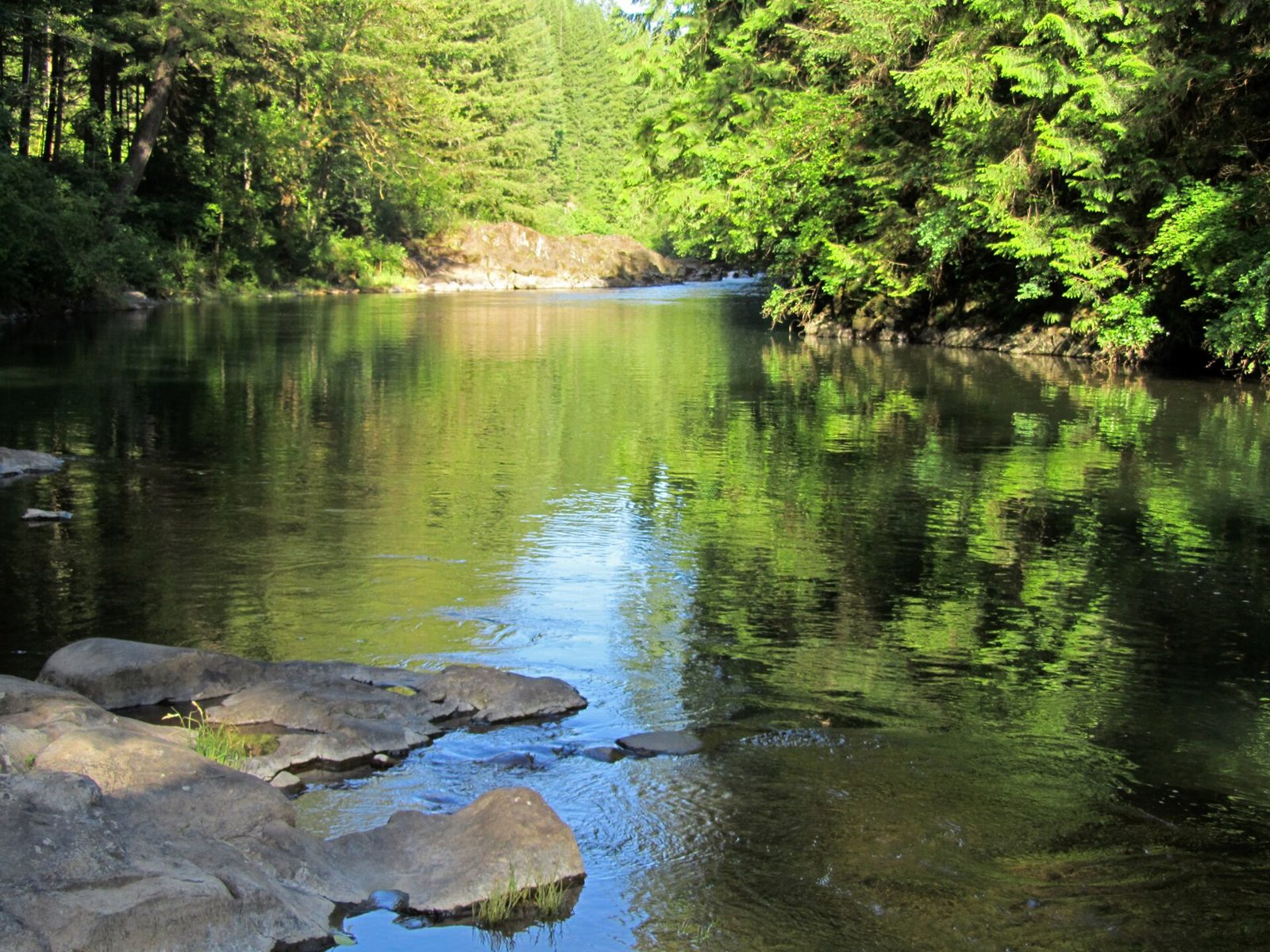 Moulton Falls (East Fork Lewis River)
