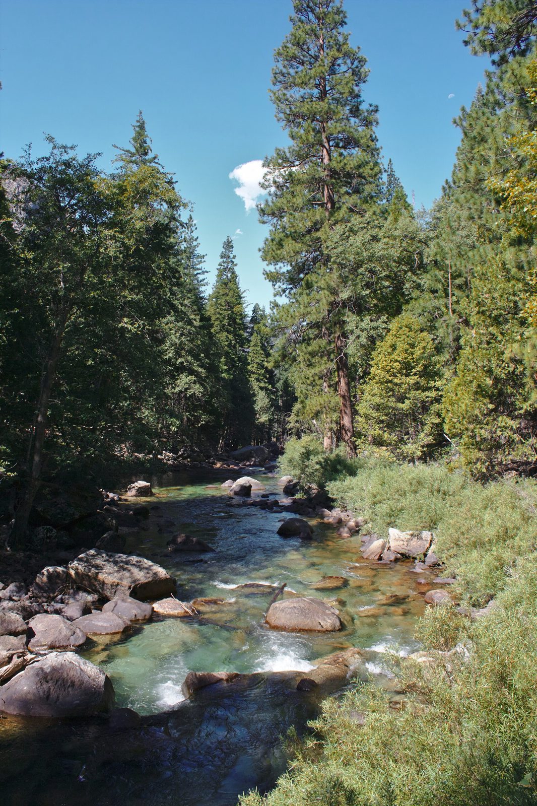 Muir Rock (Kings Canyon)