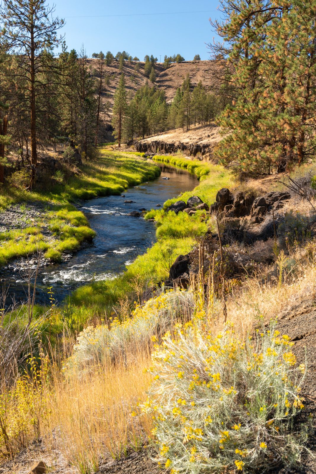 Ritter Road Swimming Hole (Middle Fork John Day)