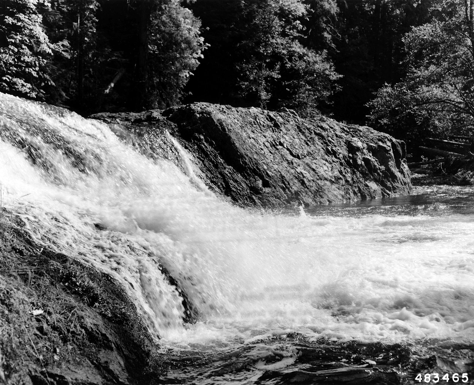 Salmon Creek Falls pools (Oakridge)