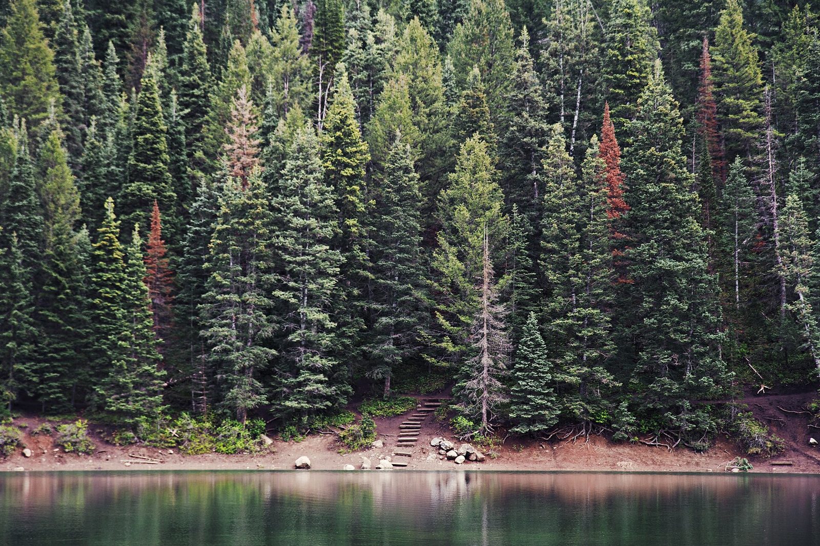 Tibble Fork Reservoir ledges