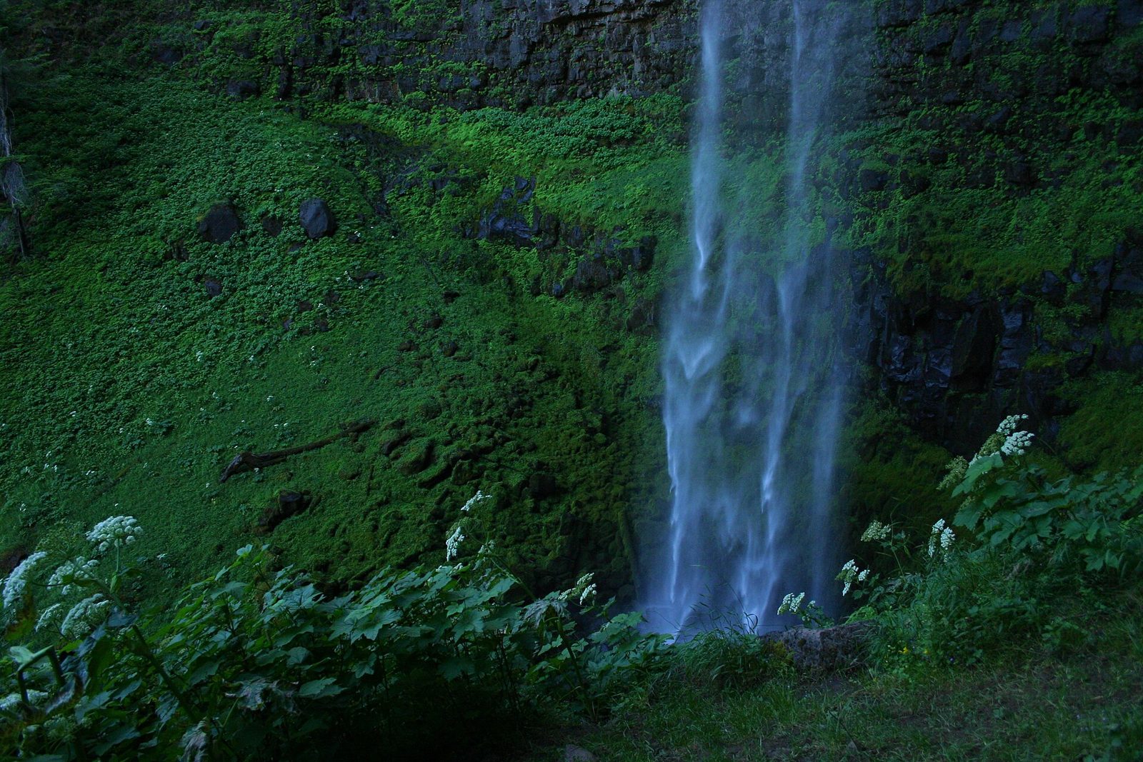 Toketee gorge log jump (North Umpqua)