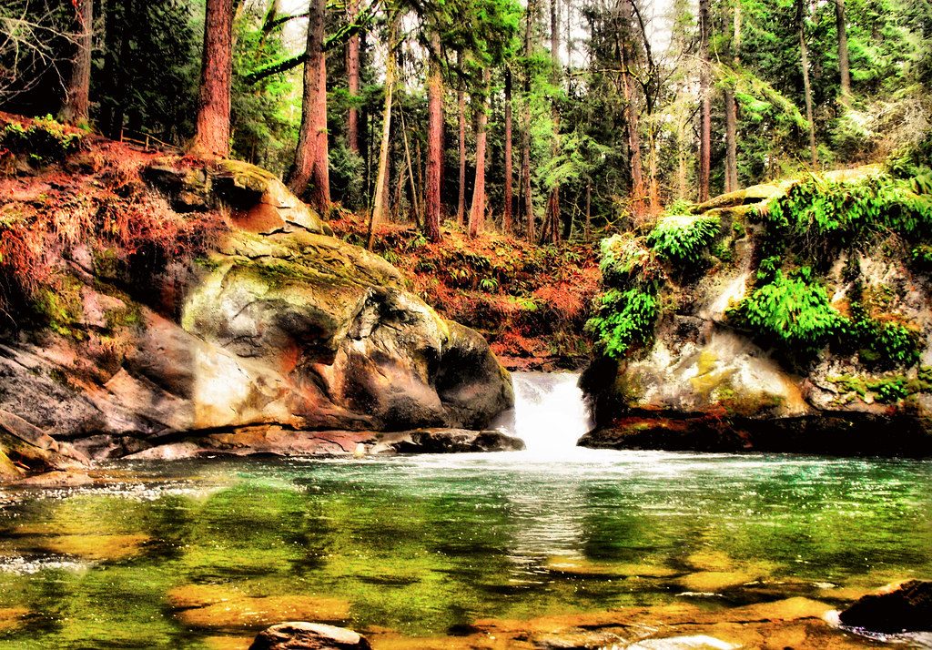Whirlpool Falls (Whatcom Falls Park)